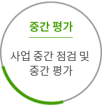 중간 평가  사업 중간 점검 및 중간 평가